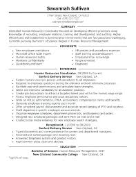 Entry Level Resume Samples For Customer Service Professional