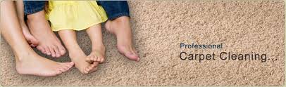 carpet cleaning rochester ny best rug