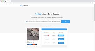 Twitter Video Downloader - Download Twitter Videos Online