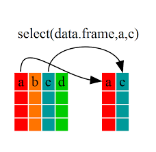 data frame manition with dplyr