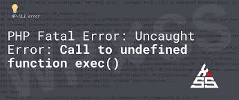 call to undefined function exec