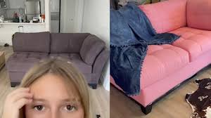 woman perple people by painting sofa