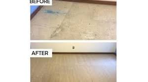 best 15 cleaning rubbish removal