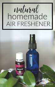 diy all natural air freshener making
