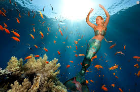 Image result for mermaids