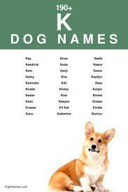 190 dog names starting with k
