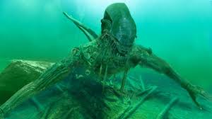 Colin fletcher, jackie sullivan, jennifer leacey and others. 12 Terrifying Objects Found In The Sea Youtube Sea Ocean Ghost Ship