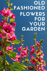 Old Fashioned Flowers For Your Garden