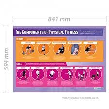 Components Of Physical Fitness Physical Education Chart B007nyhrj8