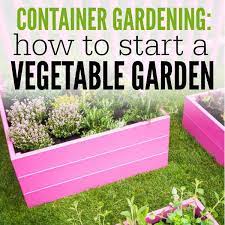 Container Gardening How To Start A