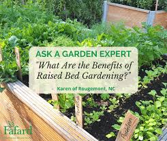Benefits Of Raised Bed Gardening