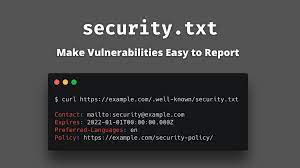 security txt make vulnerabilities