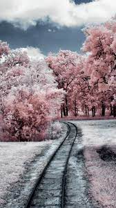 Pink Winter Wallpapers - Top Free Pink ...