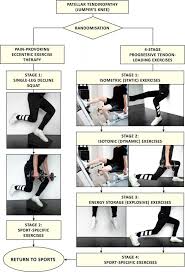 progressive tendon loading exercises vs