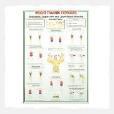 Weight Training Shoulder Upper Arm Upper Back Muscles D4