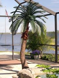 Showcase Of Artificial Palm Trees