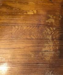 bad waxy finish on hardwood floors help