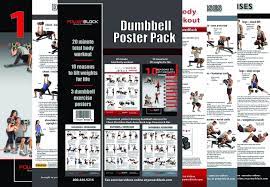 powerblock exercise poster 3 pack