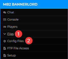 mount blade 2 bannerlord server