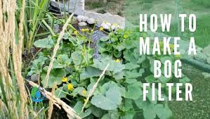 How To Make A Bog Filter Backyard
