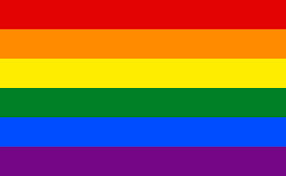 a guide to the diffe lgbtq flags