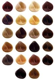 Natural Hair Color Chart Colors Available In The Natural H