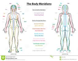 Meridian System Description Chart Female Body Stock Vector