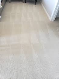 famous carpet and floor care reviews