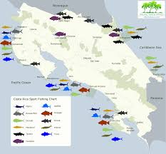 Costa Rica Sport Fishing Map When And Where To Fish