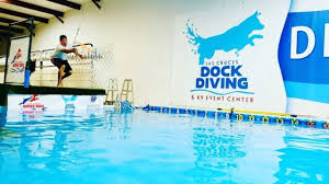 las cruces dock diving k9 event center