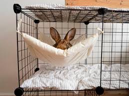 Bunny Hammock For Cage Playpen Crate