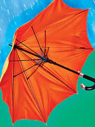 the 34 best umbrellas you can 2021