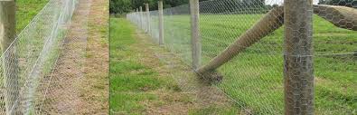 Rabbit Proof Fencing Upsons Farm