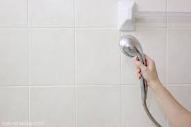 How To Clean Your Shower The