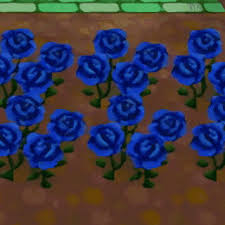 blue rose guide crossing amino