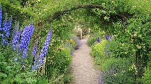 how much does a cottage garden cost