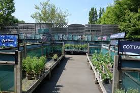 dobbies swindon garden centre a