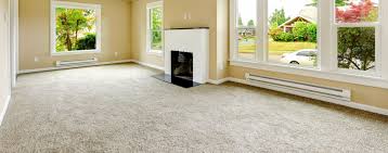 natural steam carpet cleaning