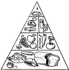 Food Pyramid Coloring Page 13 14863