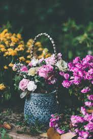 We did not find results for: Flowers In Basket Photo Free Flower Image On Unsplash