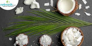 coconut meat nutrition uses for skin