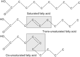 saturated fatty acids ysis health