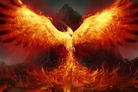 The death of the Phoenix | Osho News