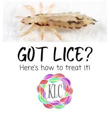 knoxville lice clinic