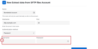 extract data from sftp files task