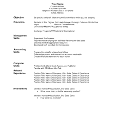 20 Example Of Chronological Resume Leterformat