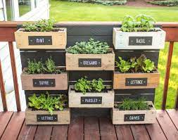 Herb Garden Wall Diy Herb Garden