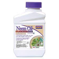 Bonide Neem Oil 3 In 1 Garden Spray