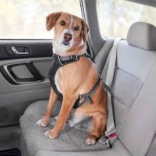 10 Best Dog Car Harnesses March 2023