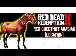 Red Dead Redemption 2 Wild Horse Breeds